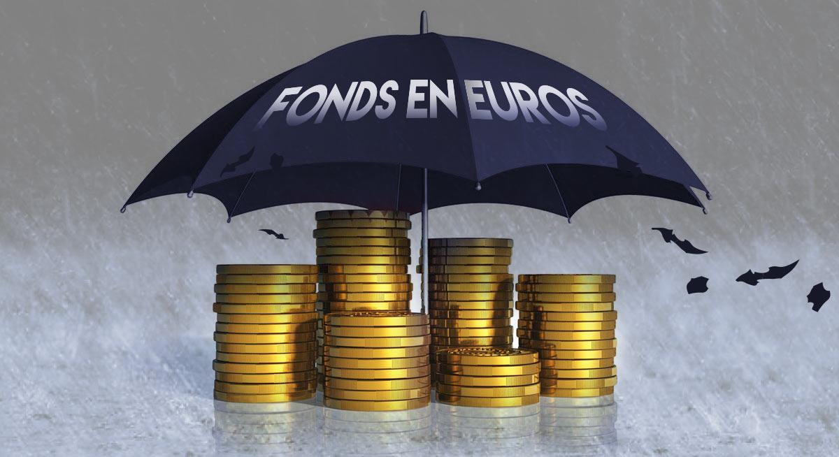 Comment investir dans les fonds en euros ?